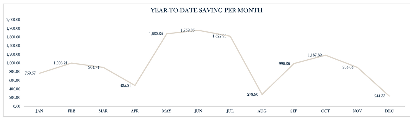 FREE Annual Summary of Expenses Template